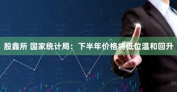股鑫所 国家统计局：下半年价格将低位温和回升