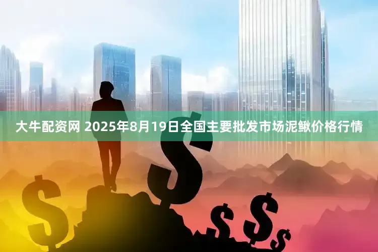 大牛配资网 2025年8月19日全国主要批发市场泥鳅价格行情